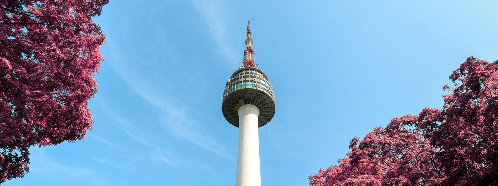 seoulcover.jpg