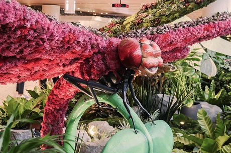 Arrival Garden