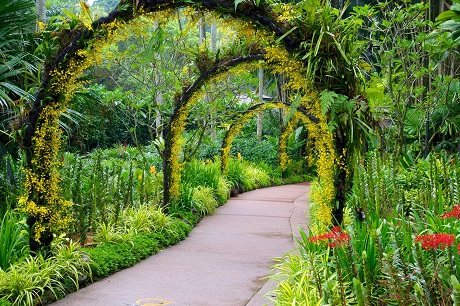 Singapore Botanic Gardens