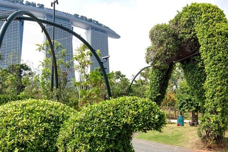 World of Plants