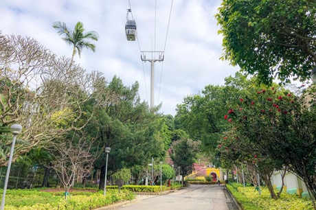 Flora Garden
