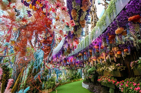 Floral Fantasy