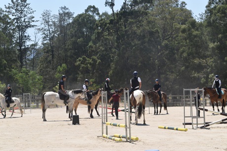 Gold Coast Equestrian Centre