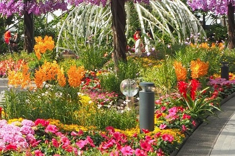 Petal Garden