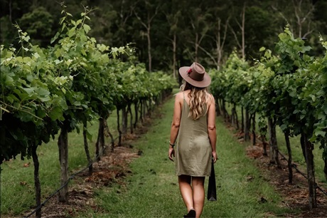 Pineapple Tours - Gold Coast