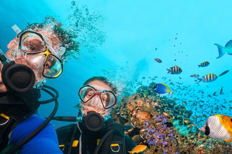 Queensland Scuba Diving Co