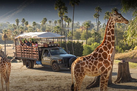 San Diego Zoo Safari Park