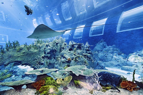 Singapore Oceanarium