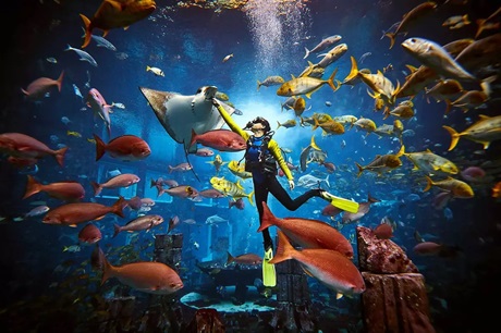 The Lost Chambers Aquarium